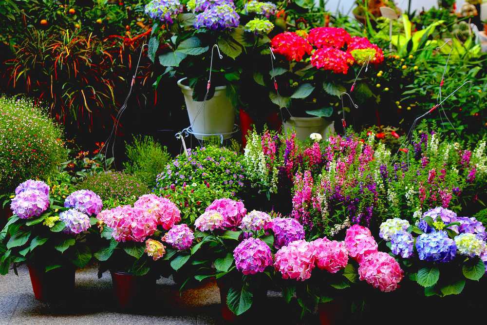 thread-garden-ooty-img